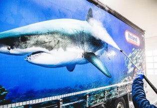 Roland print of a shark